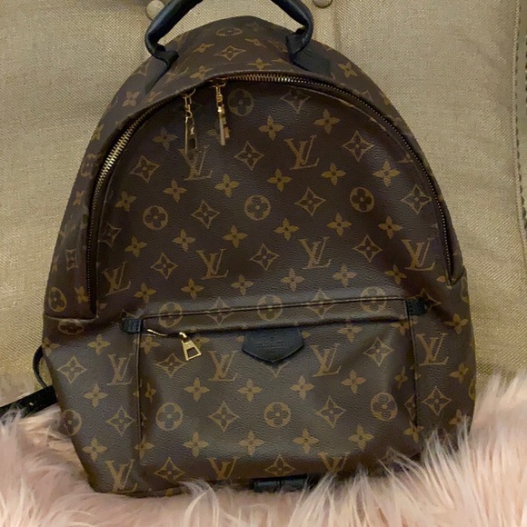 Louis Vuitton Palm Springs MM backpack - Picture 1 of 10